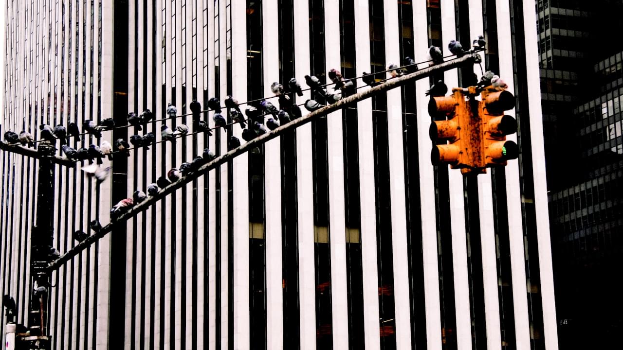 Man gets ticket for passing red light in state he has never been to