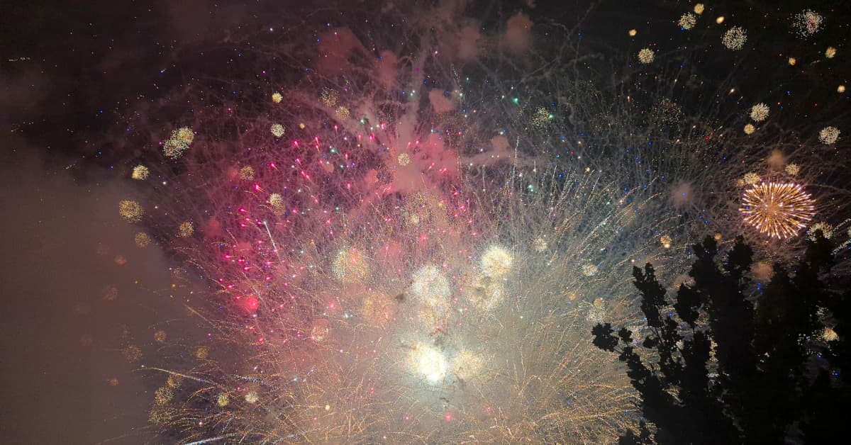 Fourth of July in the Age of Algorithmic Tyranny